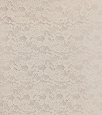 Unforgettable Dream High Rise Lace Maxi Skirt