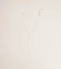 Barely There Shine Lariat Necklace