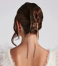Precise Shine Claw Hair Clip