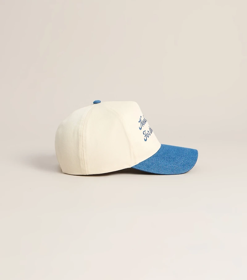 Need Money For The Rodeo Trucker Hat