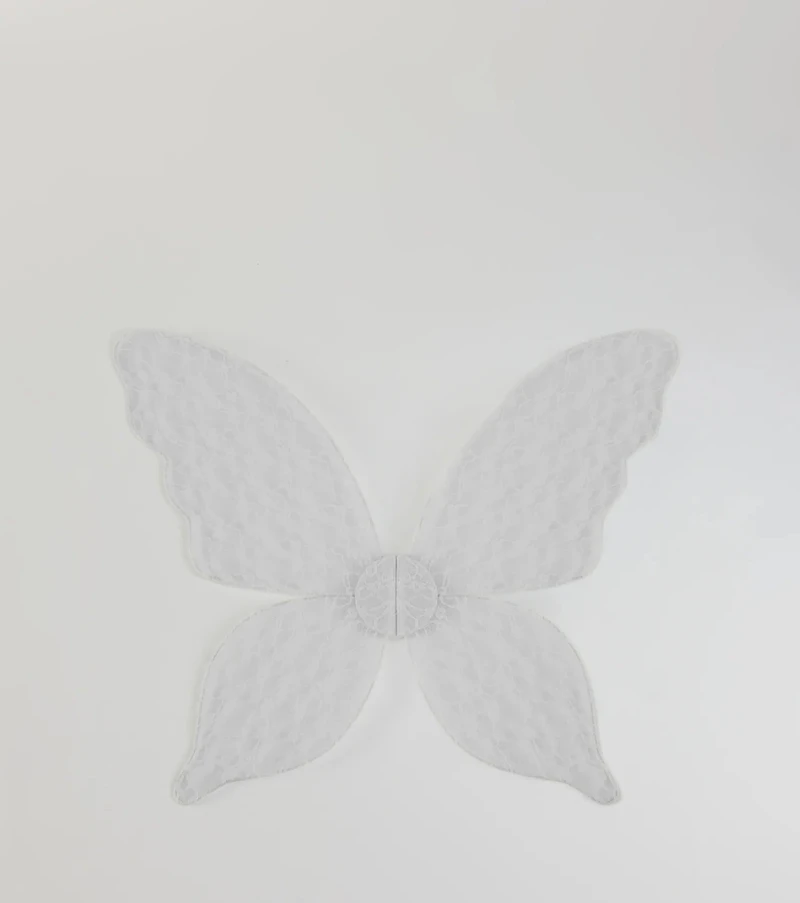 Mystical Fantasy Sheer Lace Wings