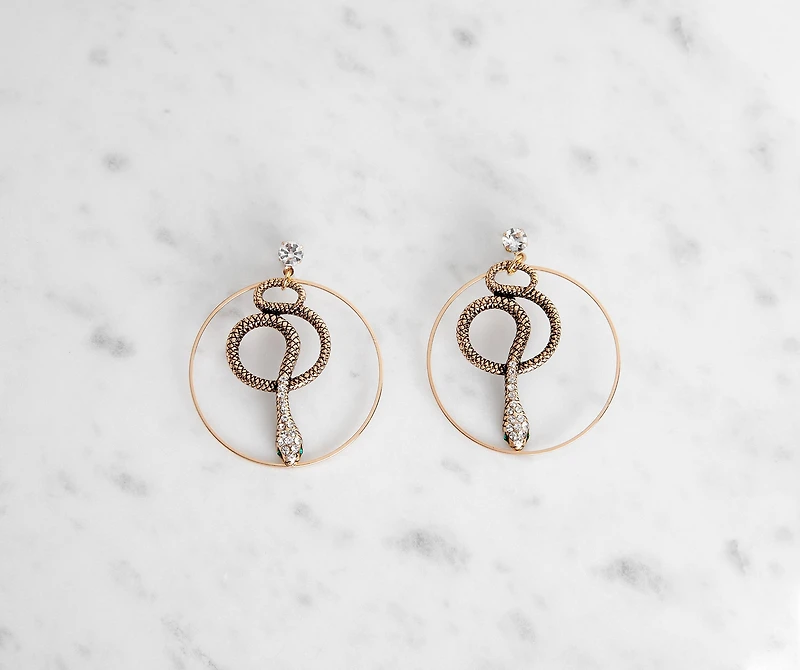 Charming Snake Hoop Earrings