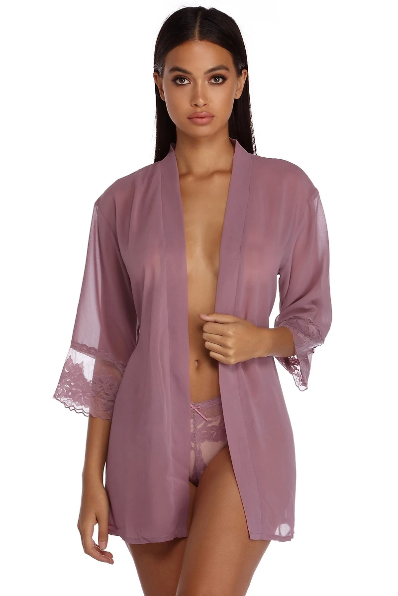Sheer Appetite Robe & Panty Set
