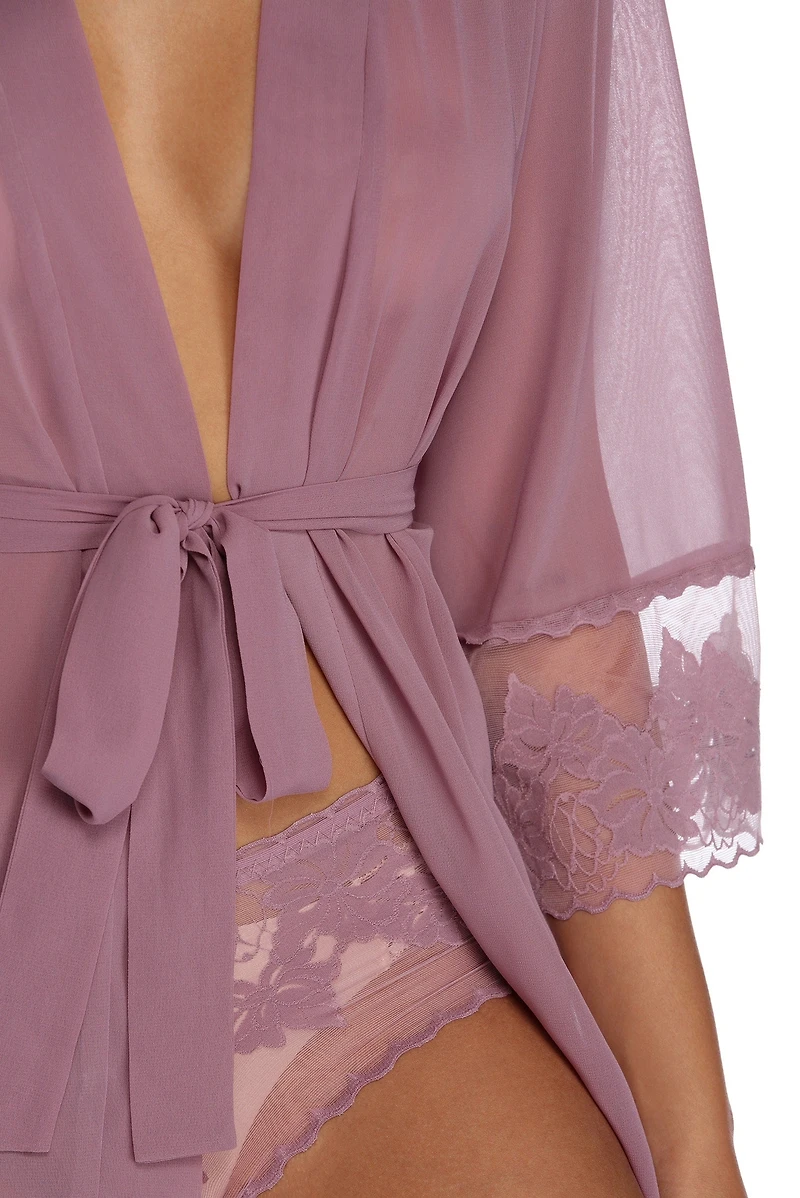 Sheer Appetite Robe & Panty Set