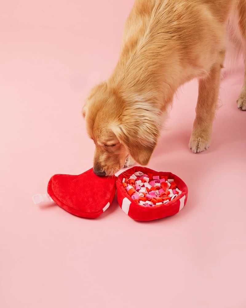Be My Valentine Interactive Snuffle Dog Toy