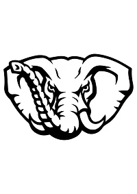 #143 - CUSTOM APPAREL