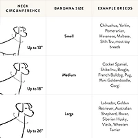 Take a Bow Dog Bandana