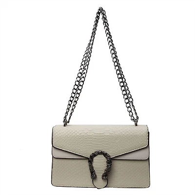 Small Crossbody Chain Bag