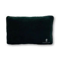 Emails Finding Me Needlepoint Pillow