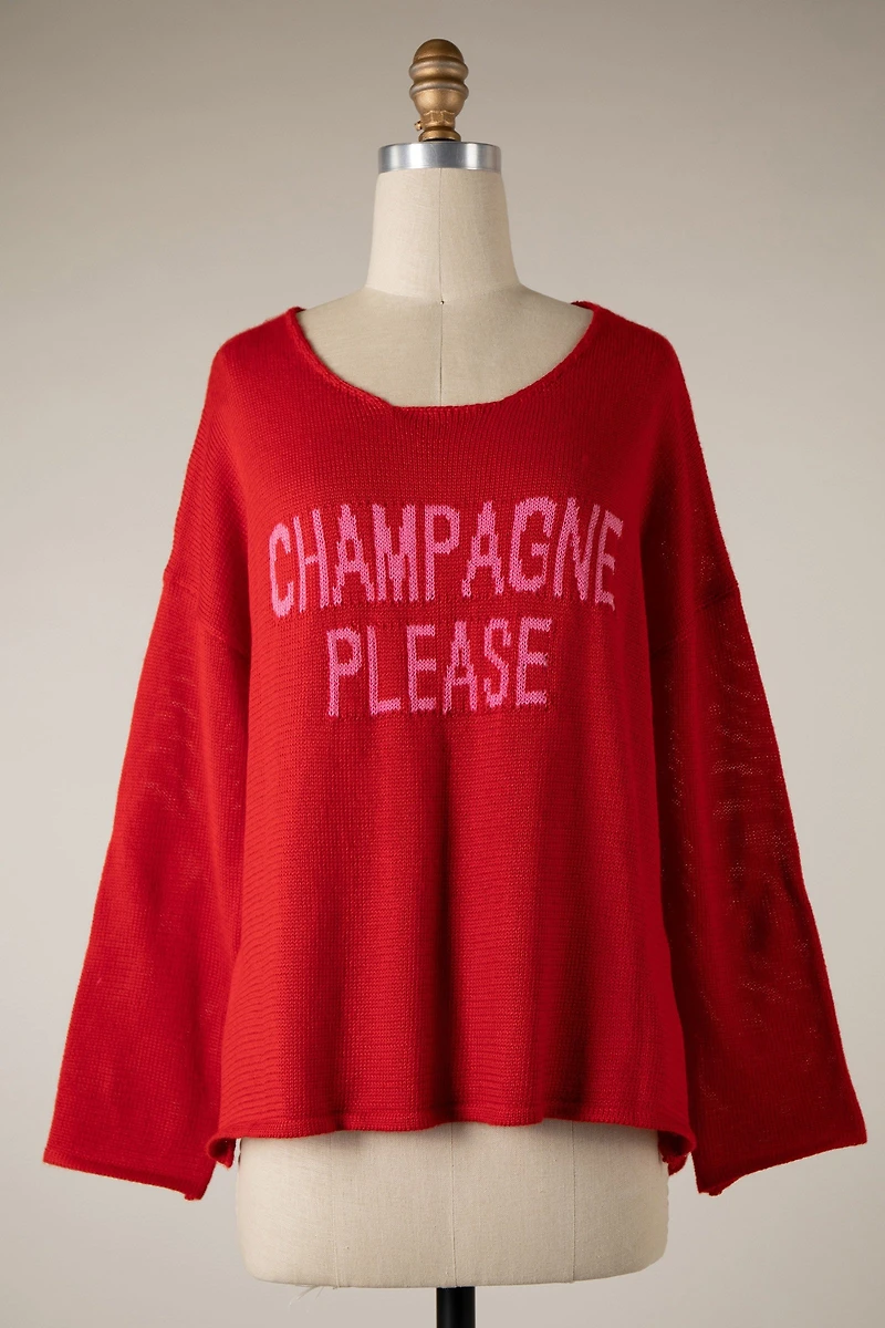 Champagne Please Red/Pink Sweater