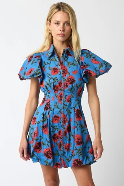 Jay Floral Bubble Dress