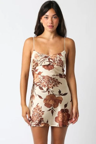 Brown Jane Dress