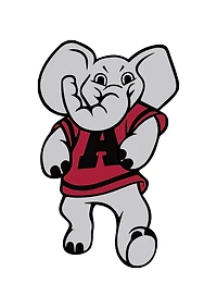 #150 - CUSTOM APPAREL