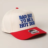 Bad Day To Be A Hot Dog Trucker Hat