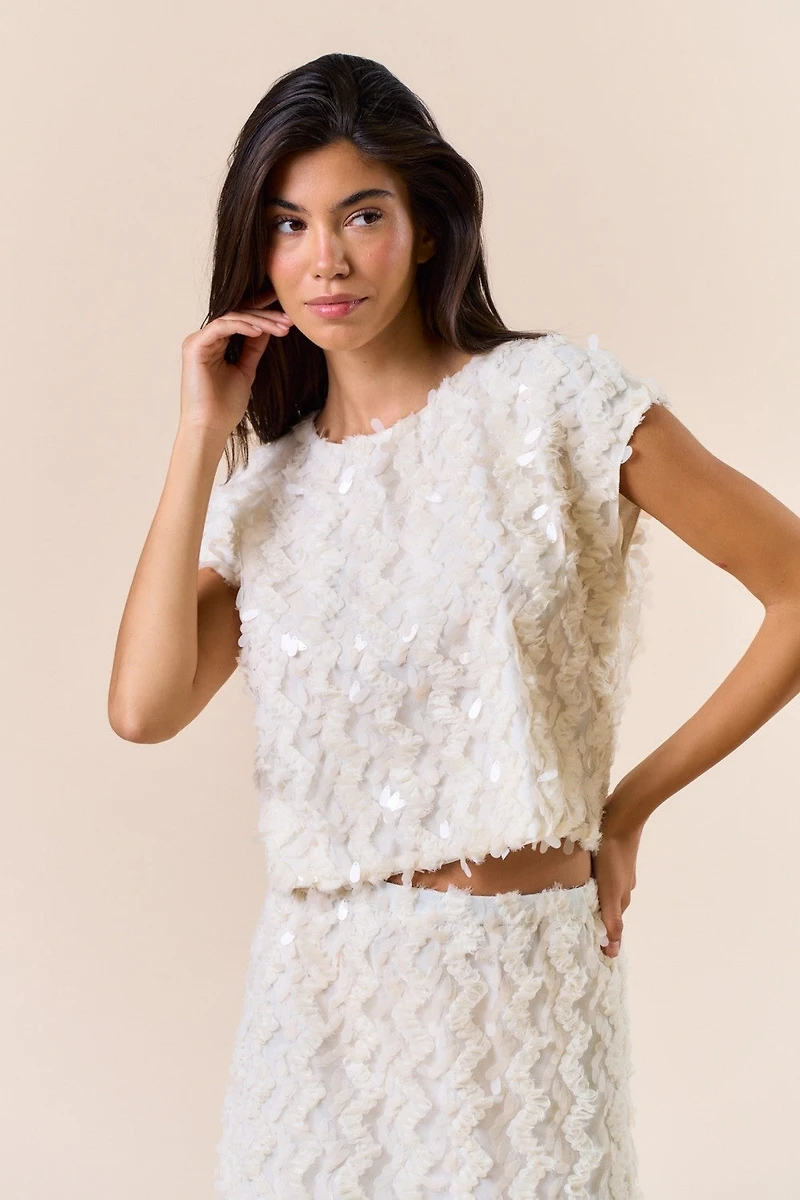 Short Sleeve Sequin Top