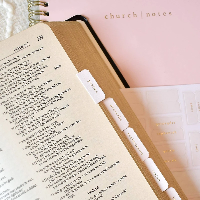 Pink and Cream Bible Tabs