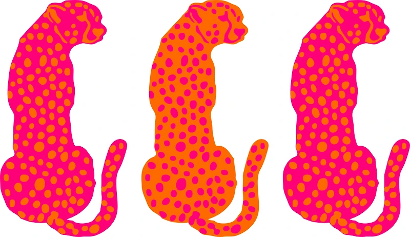 #50 - CUSTOM APPAREL