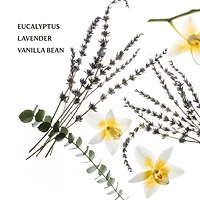 Pure Lavender Power Mist Hydrating Hand Sanitizer