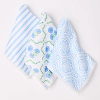 Quick Dry Dish Towel Set Swtbrr Chrm Blu