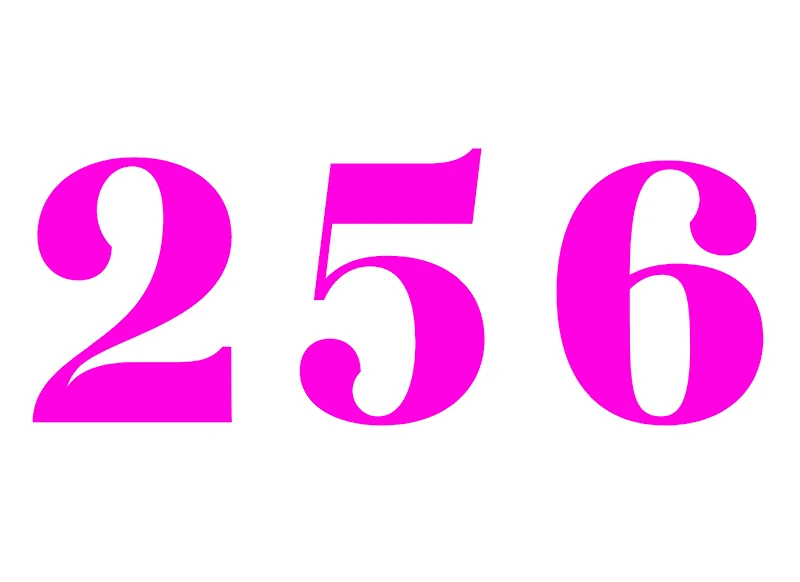 #70 - CUSTOM APPAREL