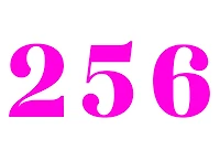 #70 - CUSTOM APPAREL