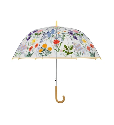 Garden Study Clear Umbrella