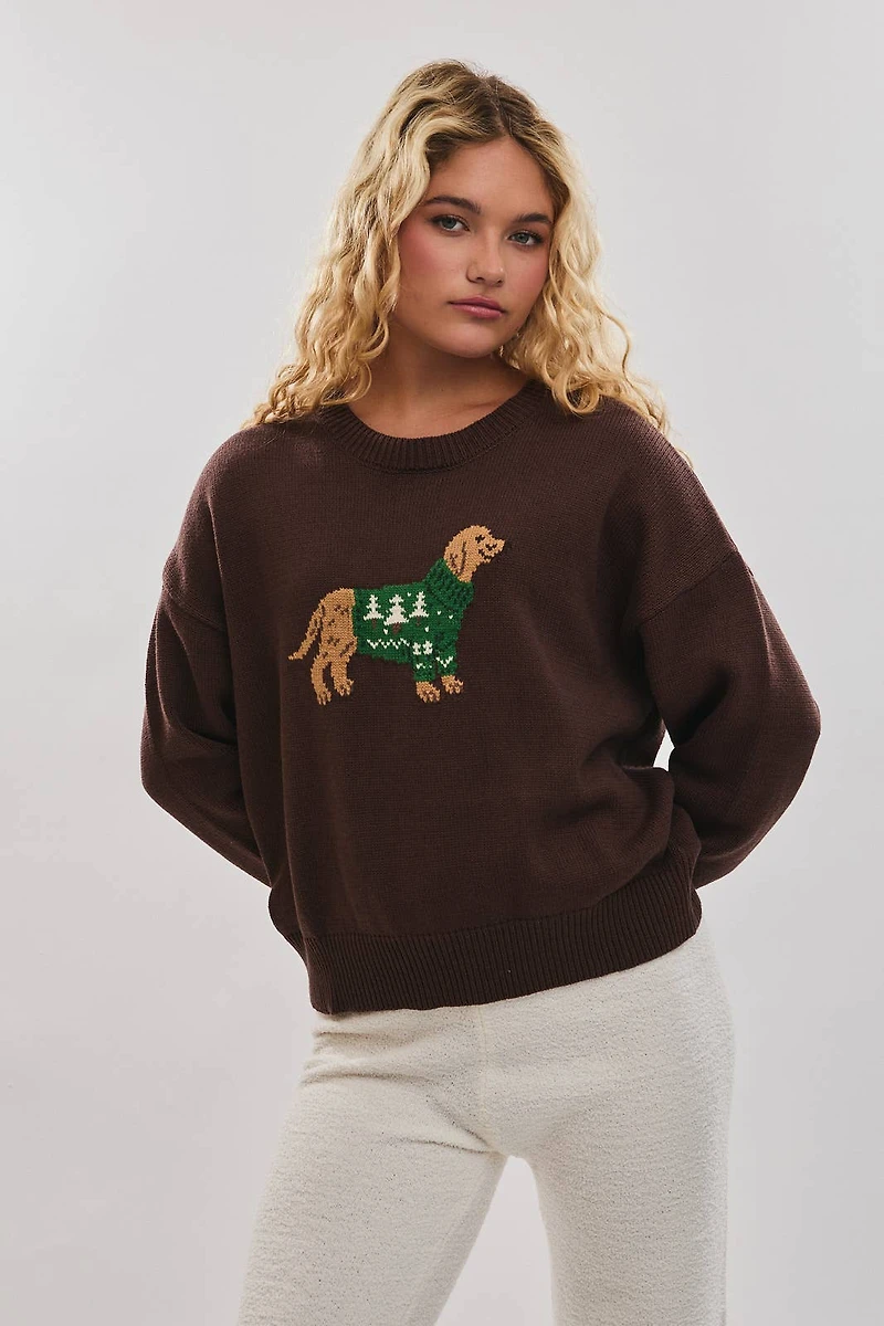 Brown Dog Sweater