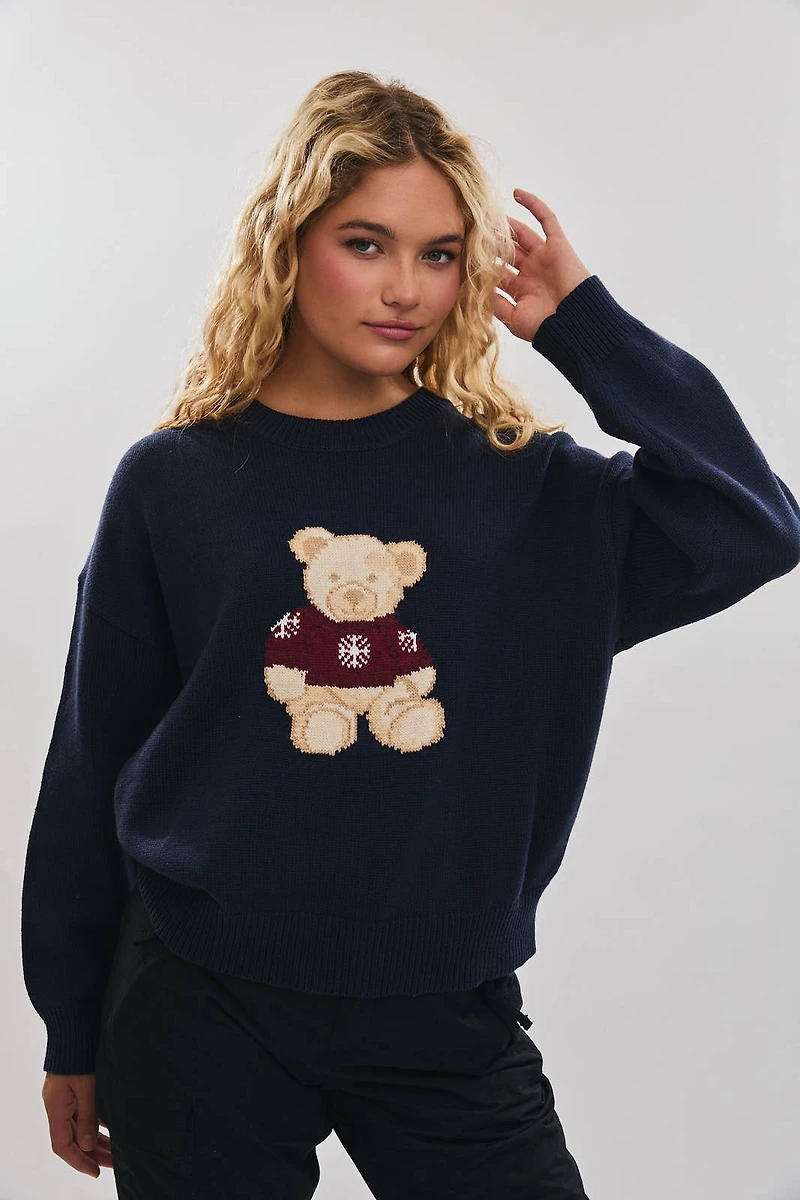 Sweater Teddy Bear Graphic