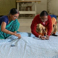 Striped Jaguar Quilted Cosmetics Bag