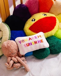 You Are My Sunshine Mini Needlepoint Pillow