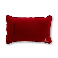 Expensive To Be Me Needlepoint Pillow