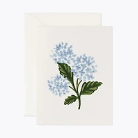 Hydrangea Bloom Card