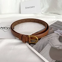 Light Brown Simple Decorative Belt