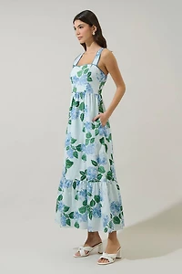 Blue Floral Sleeveless Maxi Dress