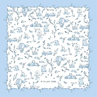 Blue Muslin Baby Blanket
