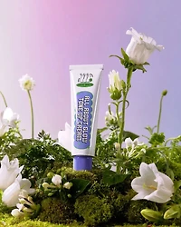 Chasin' Rabbits All About Glow Tone Up Cream