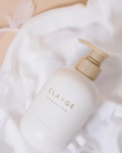 Traitement Clayge SR