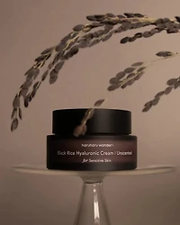 Haruharu Wonder Black Rice 10 Hyaluronic Cream | Unscented