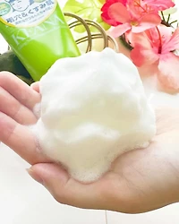 Ishizawa Lab Keana Baking Soda x Shikuwasa Face Foam