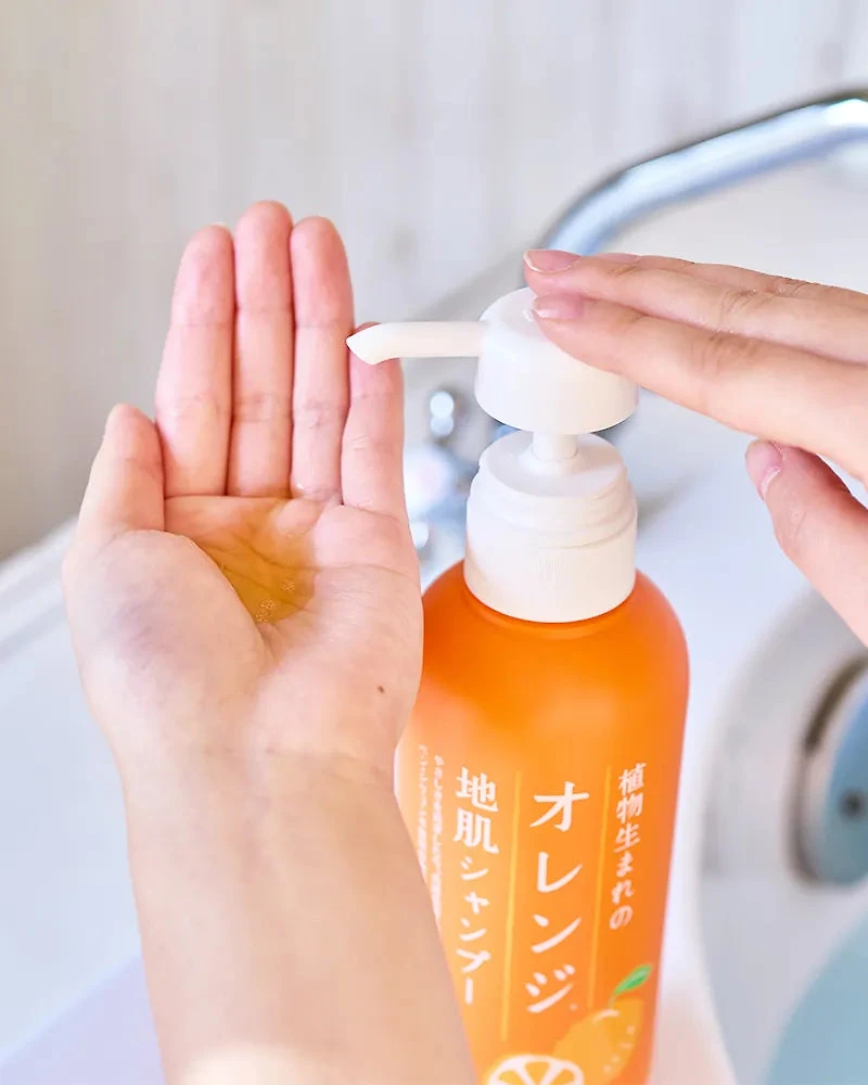 Ishizawa Lab Orange Scalp Shampoo
