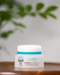 Kao Curel Intensive Moisture Facial Cream
