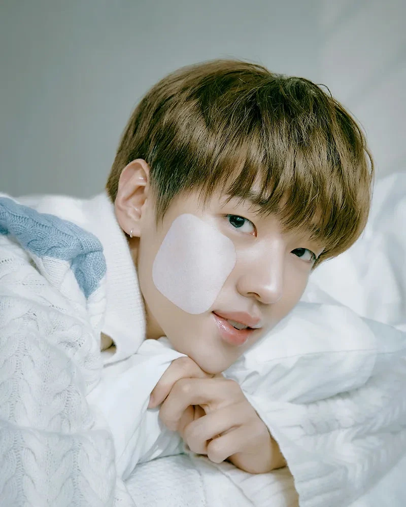 Coussin anti-transpiration Mediheal Teatree