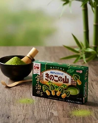 Biscuit au chocolat Meiji Kinoko no Yama