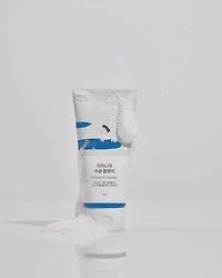 Round Lab Birch Moisturizing Cleanser