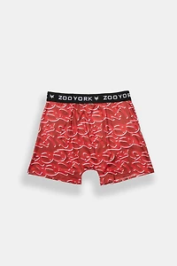 Zoo York Graffiti Logo Boxer Brief