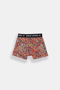 Zoo York Youth Rainbow Sprinkles Boxer Brief