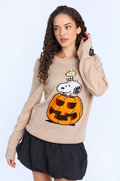 Chandail ras du cou Peanuts Snoopy