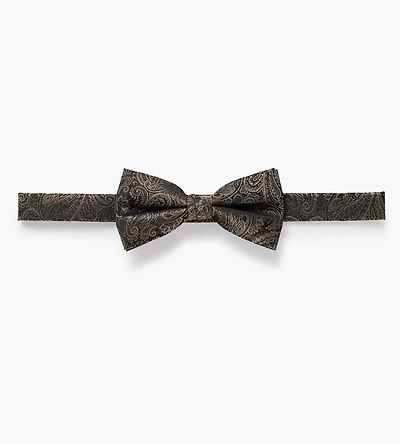 Tonal Paisley Bow Tie