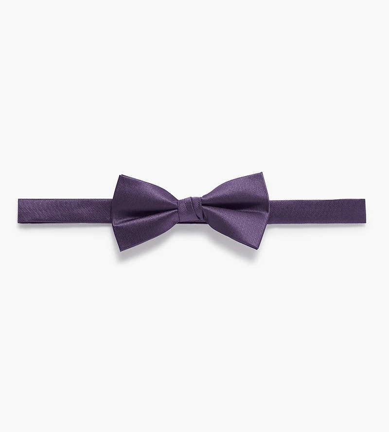 Nœud papillon uni