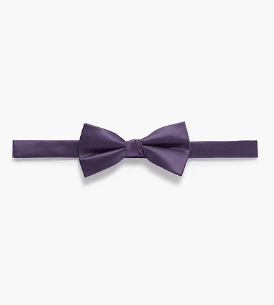 Nœud papillon uni